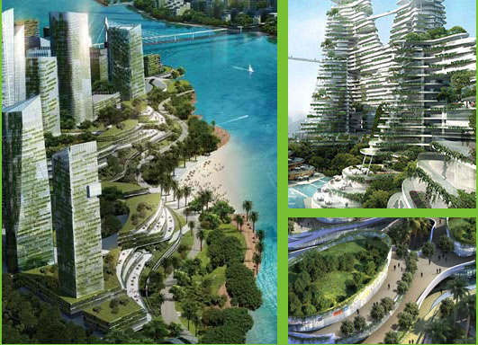 碧桂园森林城市垂直绿化状况一览